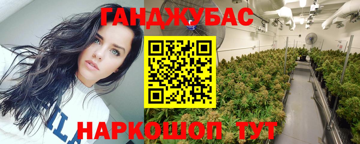 Конопля план Киров